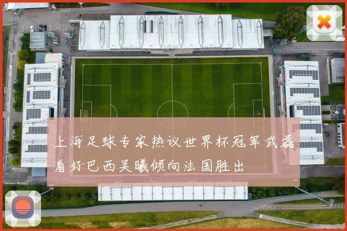 上海足球专家热议世界杯冠军武磊看好巴西吴曦倾向法国胜出